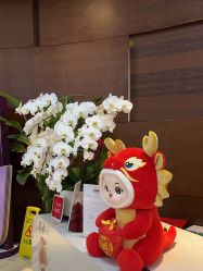 -洁铭新加坡医美