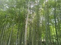 -古隆中景区