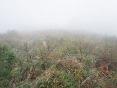 -白草畔自然风景区