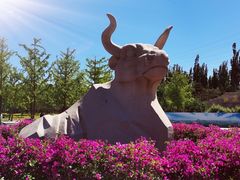 -永定河休闲森林公园