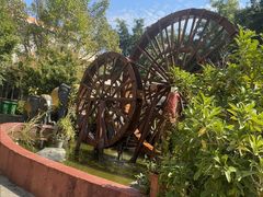 -品德宏·孔雀宴的发源地(金塔园店)