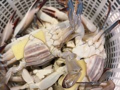 -三个渔夫·蒸汽海鲜(小白楼店)