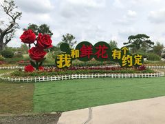 -南通鲜花小镇