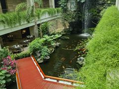-白天鹅宾馆-宏图府餐厅