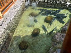 -耕渔小院·湖南鱼鲜(望城店)