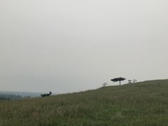 -恋山坝上草原