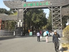 -溱湖国家湿地公园