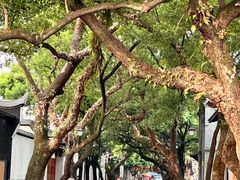 -三坊七巷历史文化街区