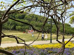 -苏州上方山国家森林公园