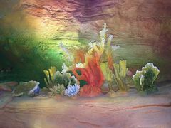 -青岛嘉年华主题乐园