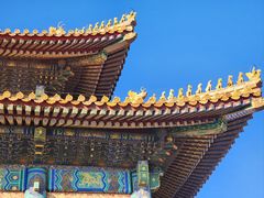-故宫博物院(故宫)