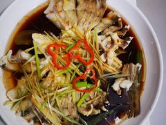 -煲来饱去冷水鱼