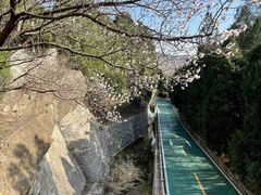 -四门塔风景区