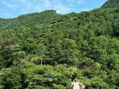 -黑河国家森林公园