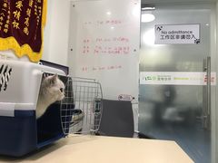 -仁普宠物诊所(住友昌盛新苑店)
