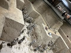 -秦始皇帝陵博物院(兵马俑)