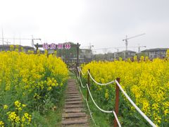 -田园东方蜜桃村的田野营地
