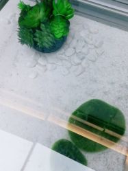 -木北造型