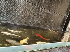 -王牌国际酒店(深圳北站店)