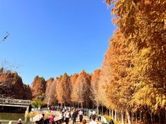 -捞渔河湿地公园