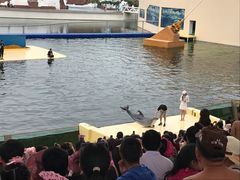 -秦皇岛乐岛海洋王国