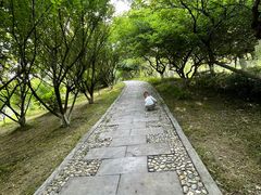 -大蜀山国家森林公园