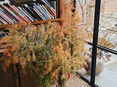 -陶野咖啡·面包披萨