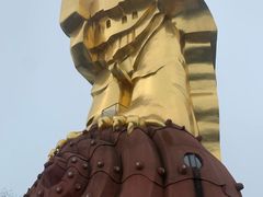 -大金鹰园