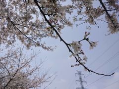 -西北湖绿化广场
