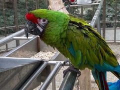 -南宫五洲植物乐园