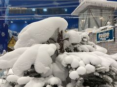 -长沙湘江冰雪世界