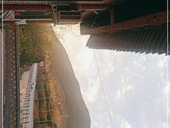 -中原农家乐(中原饭店)