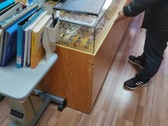 -李医生眼镜工作室