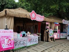 -狐尾山公园