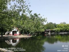 -上海共青森林公园