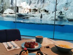 -帝企鹅自助餐厅•儿童岛•真企鹅(长隆企鹅酒店)