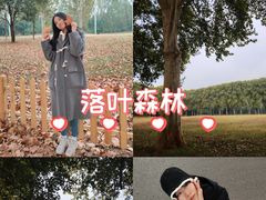 -河南省黄河迎宾馆