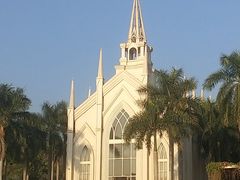 -南宁花花大世界景区