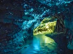 -怀托摩萤火虫洞