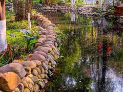 -成都市活水公园