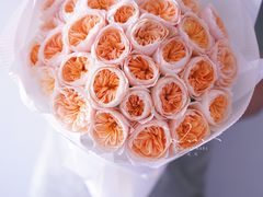 -花生FM_FLOWERS