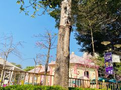 -史努比缤纷世界