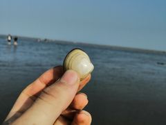 -南汇嘴观海公园