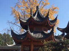 -上海东林寺(金山区)