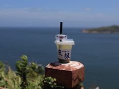 -东极岛景区