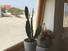 -ChanDu躔度咖啡(灯塔店)