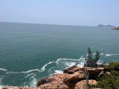 -广东惠东海龟国家级自然保护区