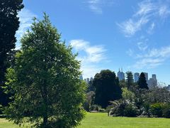 -墨尔本皇家植物园