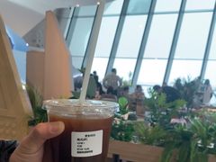 -抱抱地球咖啡馆(国家海洋博物馆店)
