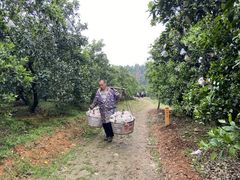 -樱桃山旅游景区